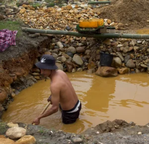 Heliconia Guide Heliconia Guide